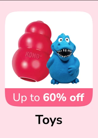 Interactive Toys